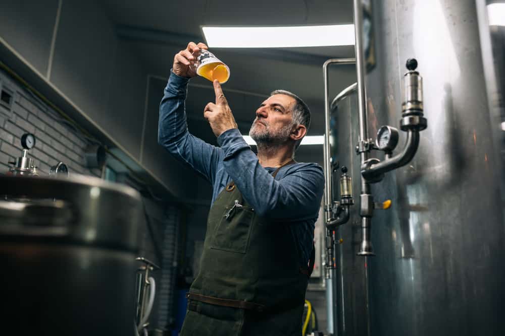 Professionel mandlig ølbrygger i bryggeri. Står med løftet glas med øl og betragter farven.