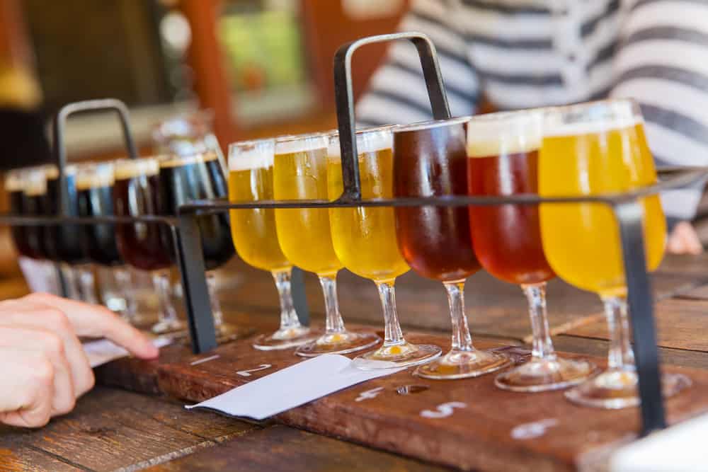 En række små fyldte ølglas står på et bord i et lille stativ - klar til ølsmagning.
